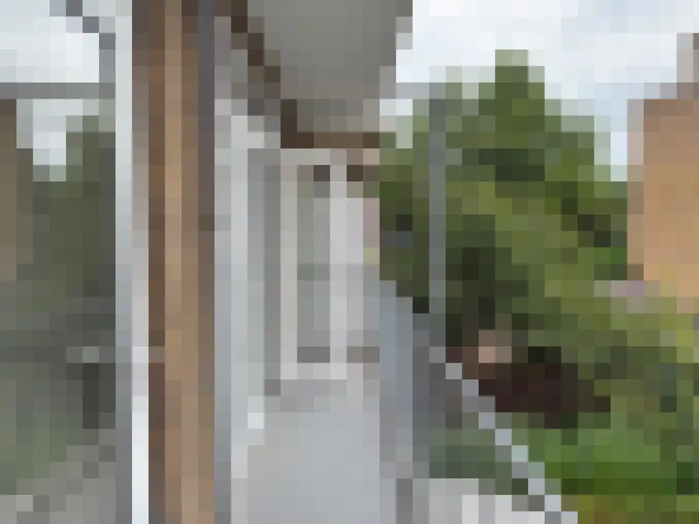 Dotterbloemlaan 89 Den Haag thumbnail 23