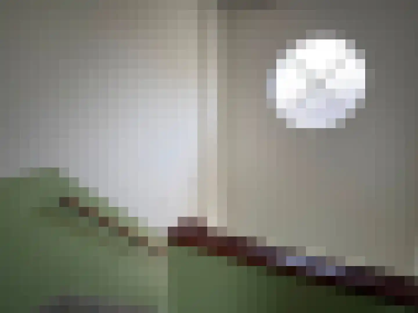 Dotterbloemlaan 89 Den Haag thumbnail 38