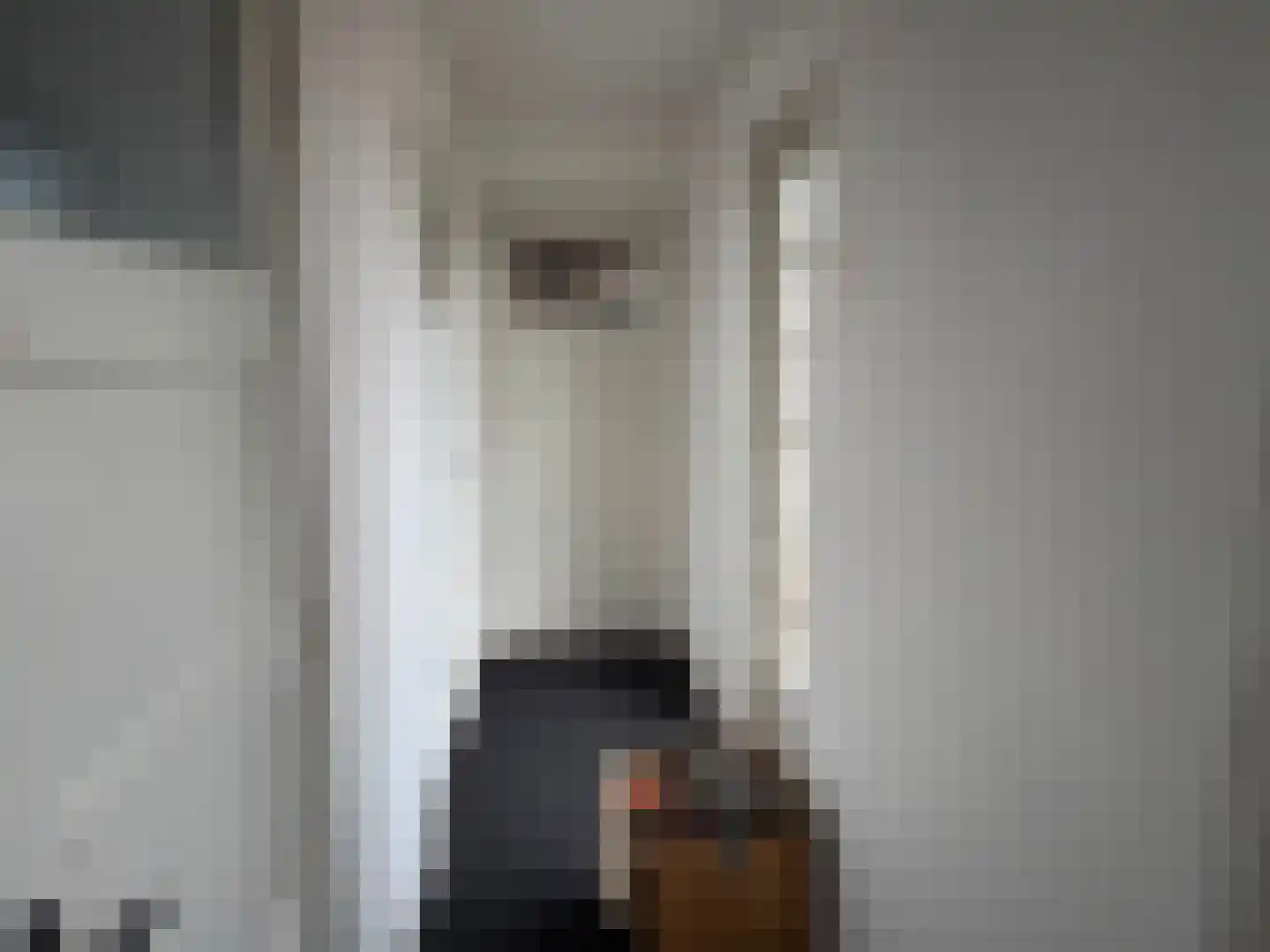 Dotterbloemlaan 89 Den Haag thumbnail 40