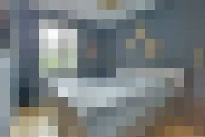 Dotterbloempad 1 Harderwijk thumbnail 19