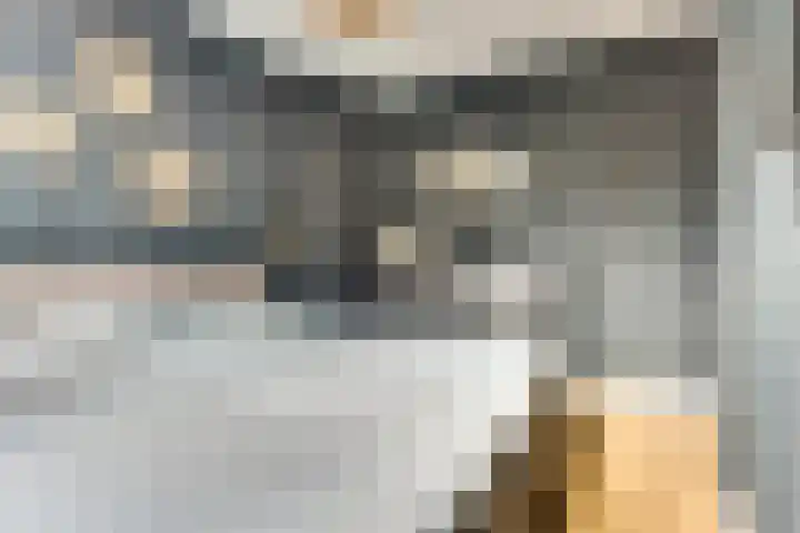 Dotterbloempad 1 Harderwijk thumbnail 20