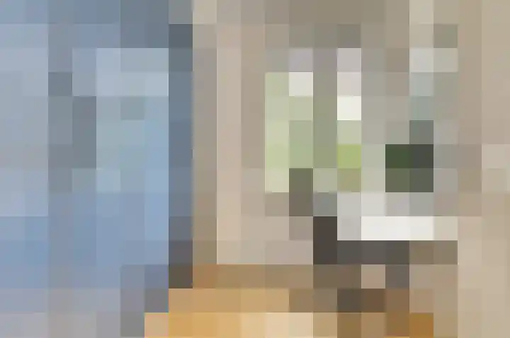 Dotterbloempad 1 Harderwijk thumbnail 23