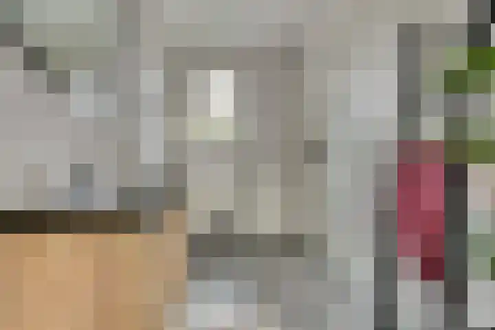 Dotterbloempad 1 Harderwijk thumbnail 25