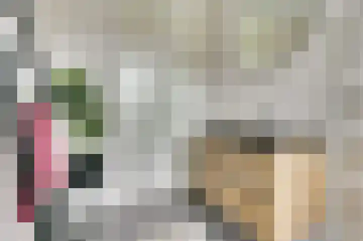Dotterbloempad 1 Harderwijk thumbnail 26
