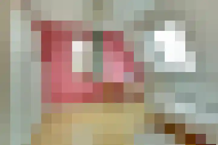 Dotterbloempad 1 Harderwijk thumbnail 31