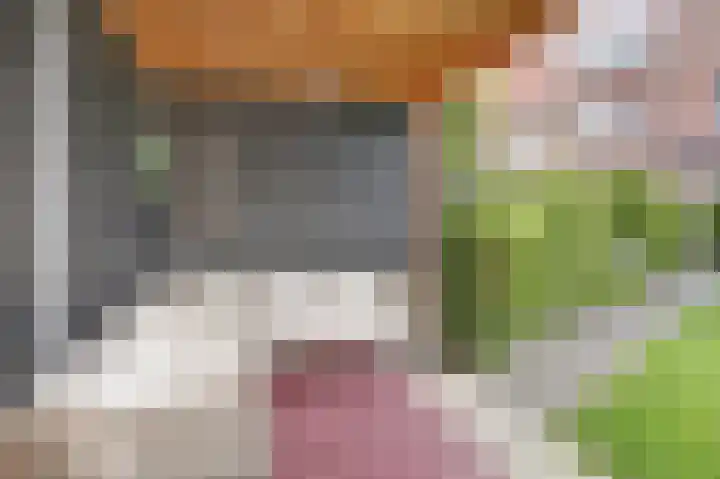 Dotterbloempad 1 Harderwijk thumbnail 33