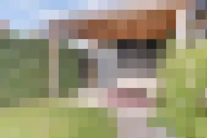 Dotterbloempad 1 Harderwijk thumbnail 35