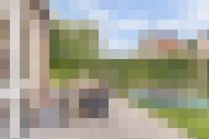 Dotterbloempad 1 Harderwijk thumbnail 36