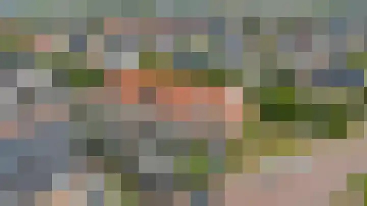 Dotterbloempad 1 Harderwijk thumbnail 38