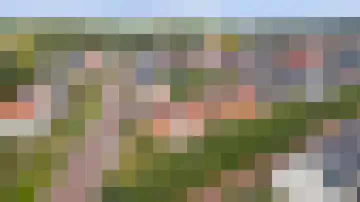 Dotterbloempad 1 Harderwijk thumbnail 39