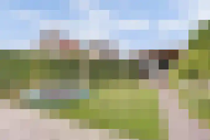 Dotterbloempad 1 Harderwijk thumbnail 4