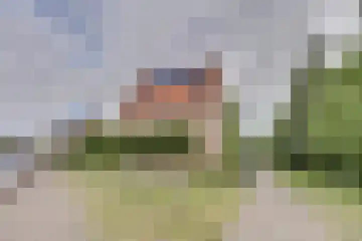 Dotterbloempad 1 Harderwijk thumbnail 5