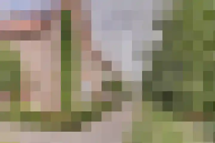 Dotterbloempad 1 Harderwijk thumbnail 6