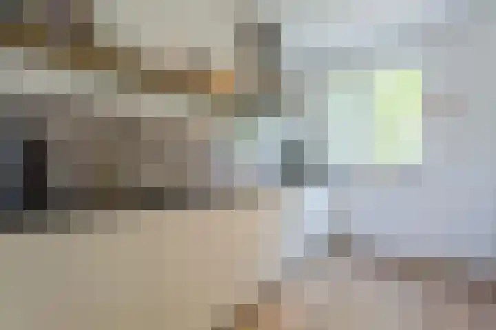 Dotterbloempad 3 Harderwijk thumbnail 11