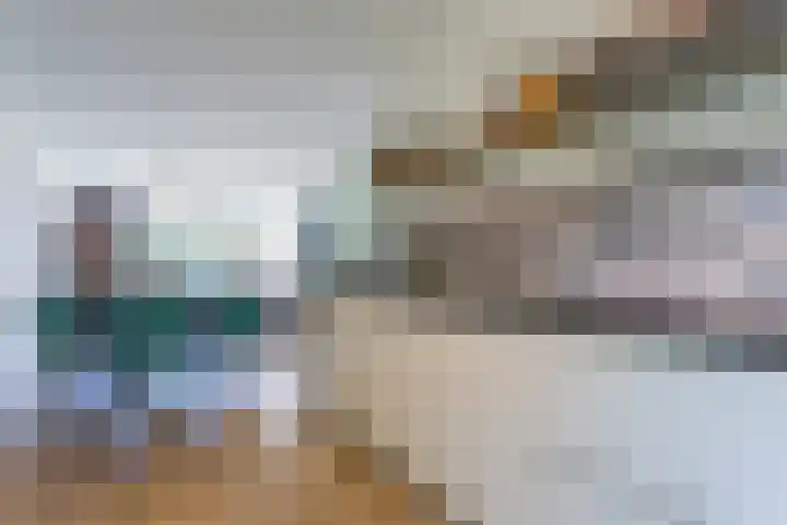 Dotterbloempad 3 Harderwijk thumbnail 12