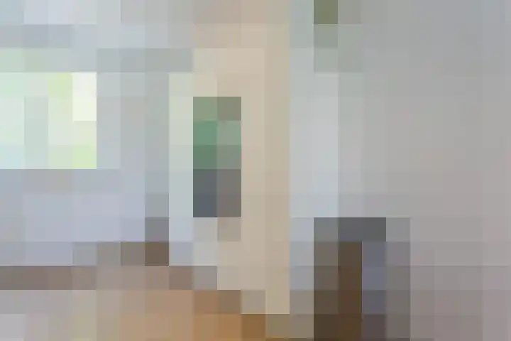 Dotterbloempad 3 Harderwijk thumbnail 13