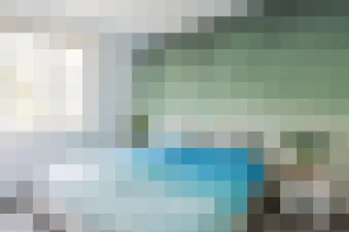 Dotterbloempad 3 Harderwijk thumbnail 16