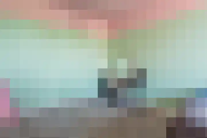 Dotterbloempad 3 Harderwijk thumbnail 19