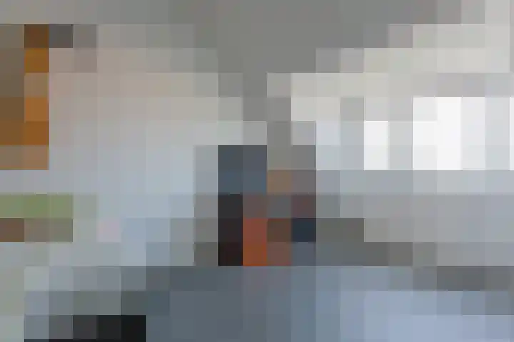 Dotterbloempad 3 Harderwijk thumbnail 26