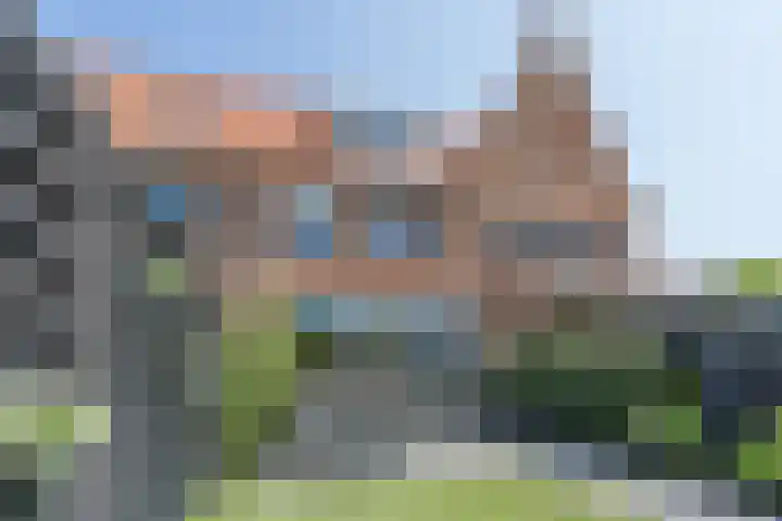 Dotterbloempad 3 Harderwijk thumbnail 30