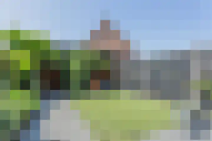 Dotterbloempad 3 Harderwijk thumbnail 32