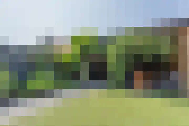 Dotterbloempad 3 Harderwijk thumbnail 33