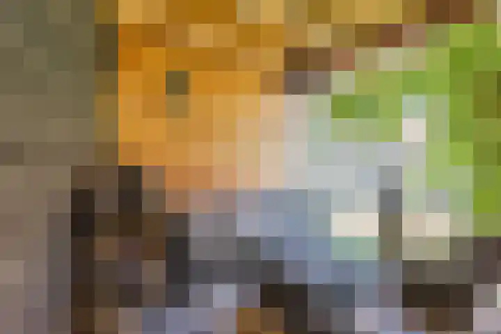 Dotterbloempad 3 Harderwijk thumbnail 34