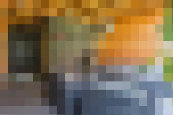 Dotterbloempad 3 Harderwijk thumbnail 35