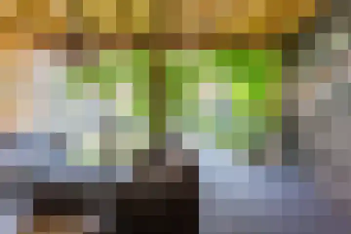 Dotterbloempad 3 Harderwijk thumbnail 36