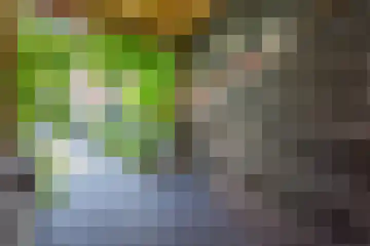 Dotterbloempad 3 Harderwijk thumbnail 37