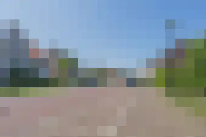 Dotterbloempad 3 Harderwijk thumbnail 39