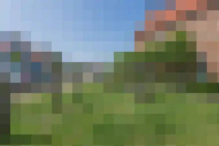 Dotterbloempad 3 Harderwijk thumbnail 40