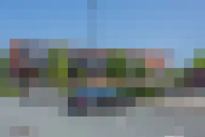 Dotterbloempad 3 Harderwijk thumbnail 42