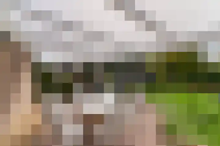 Dotterbloemstraat 13 Reuver thumbnail 15