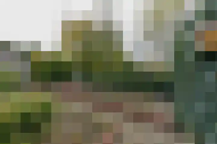 Dotterbloemstraat 13 Reuver thumbnail 19