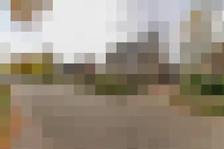 Dotterbloemstraat 13 Reuver thumbnail 35