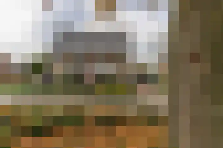 Dotterbloemstraat 13 Reuver thumbnail 4