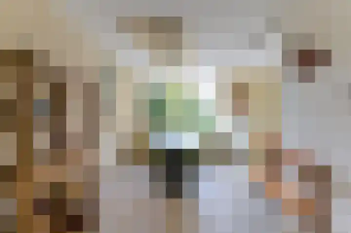 Dotterbloemstraat 13 Reuver thumbnail 5