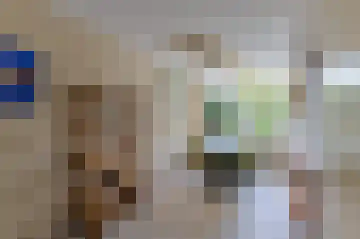 Dotterbloemstraat 13 Reuver thumbnail 9