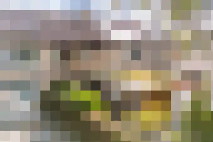 Dotterbloemstraat 15 Nieuwegein thumbnail 10
