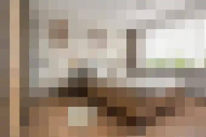 Dotterbloemstraat 15 Nieuwegein thumbnail 25