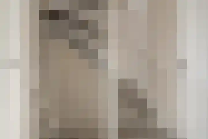 Dotterbloemstraat 15 Nieuwegein thumbnail 31