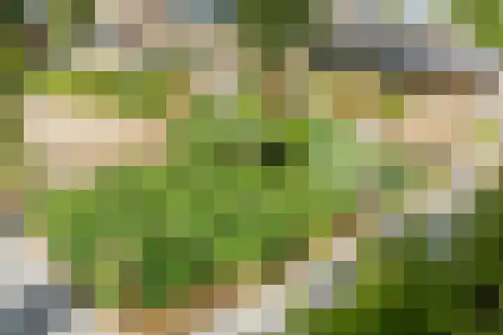 Dotterbloemstraat 15 Nieuwegein thumbnail 37
