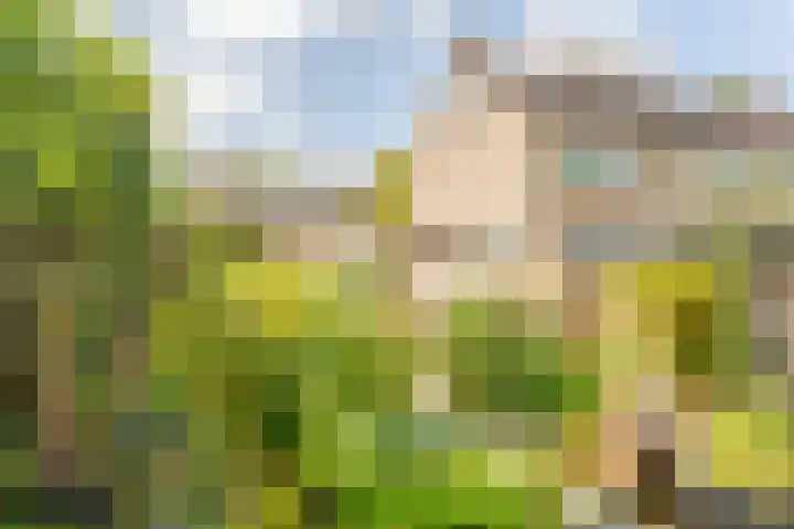 Dotterbloemstraat 15 Nieuwegein thumbnail 38