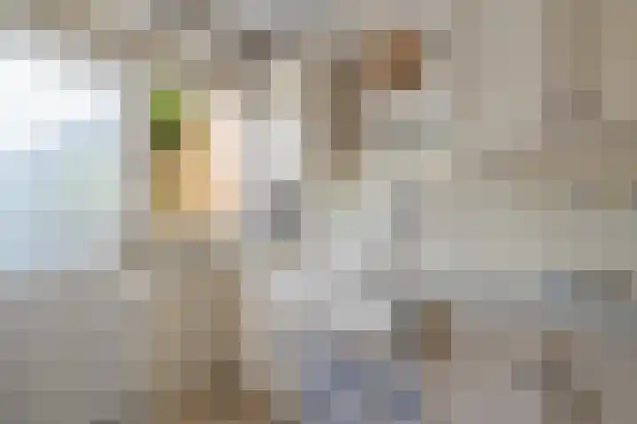 Dotterbloemstraat 15 Nieuwegein thumbnail 4
