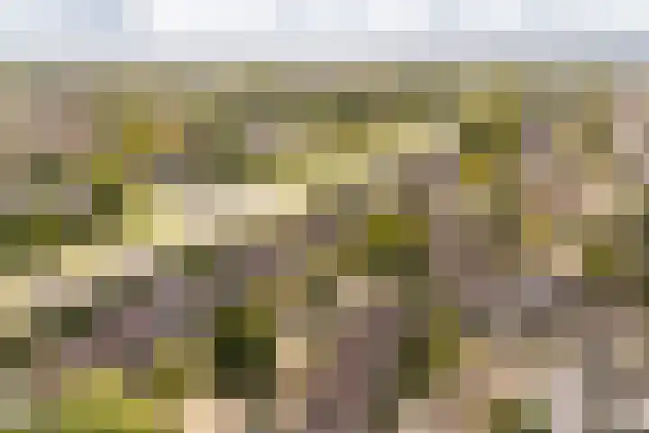 Dotterbloemstraat 15 Nieuwegein thumbnail 6