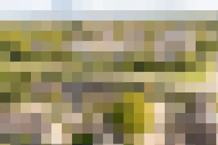 Dotterbloemstraat 15 Nieuwegein thumbnail 7