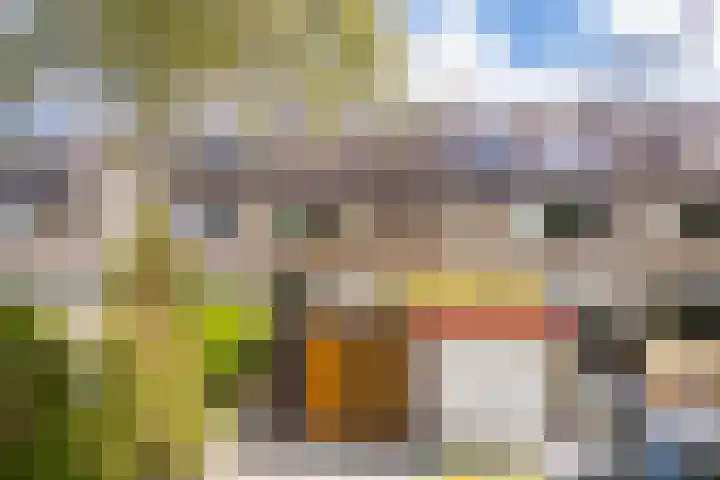 Dotterbloemstraat 15 Nieuwegein thumbnail 8