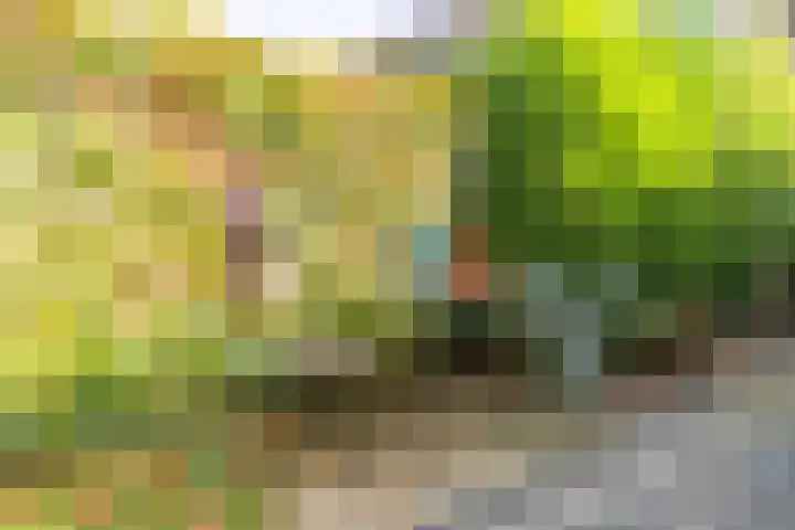 Dotterbloemstraat 15 Nieuwegein thumbnail 9