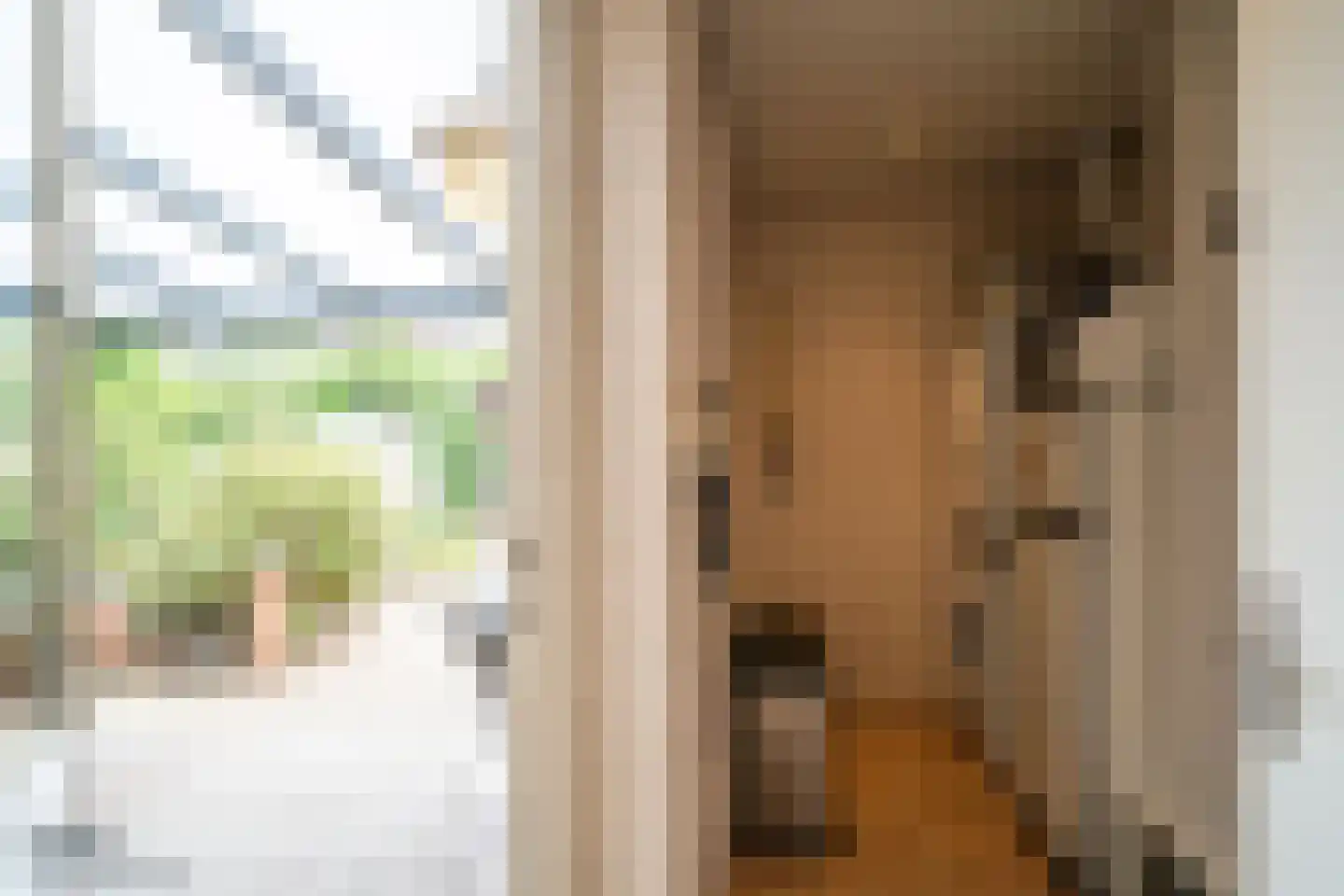 Dotterbloemstraat 20 Reuver thumbnail 16